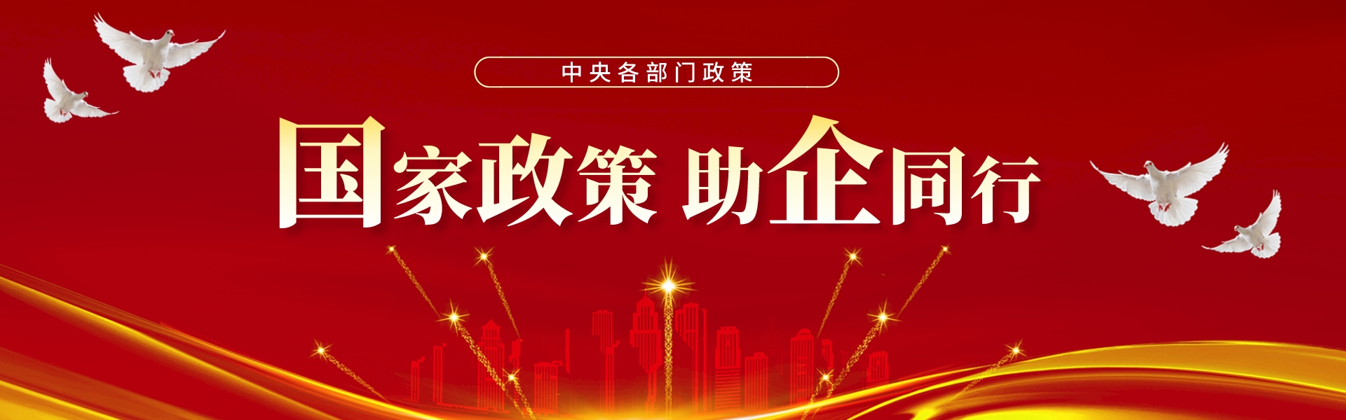 国家政策